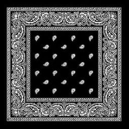 Stylish & Versatile Bandanas, Trendy Headwear for Men and Women - Ideal for Outdoor Sports, Yoga, Fashion, and More, Versatile Paisley Prints for Fashion and Function - Pack Of 3-image-8