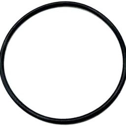 CLX110K O-Ring Replacement for Hayward Chlorinator lid CL100 CL110 CL110BR-27