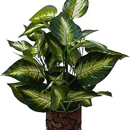 BAARIG Artificial Philodendron Plant with Variegated Leaves in Decorative Brown Coconut Pot (Green-White)-1