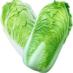 Chinese Cabbage Seeds F1 Hybrids Vegetable Seeds for Home Garden for Planting for All Season (200 seeds) By Zabbus-image-44