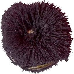 DIBLOX Iron Filling Powder Dust for Megnetic Filled Experiments (200g Black)-image-69