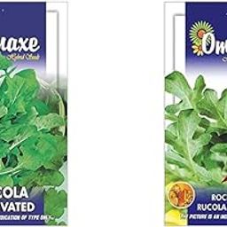 Rocket Rucola Arugula Cultivated Imported Exotic Seeds Kitchen Garden Packet & Omaxe Seeds Rocket/Arugula/Rucola Leaves Herb Herb Seeds Kitchen Garden Packet-image-0