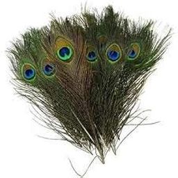 Generic 10x12 Inch Peacock Feather (Pack of 10 Pieces) - Decorative Wedding Feather Decorations-image-38