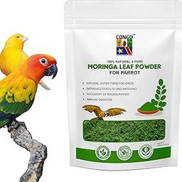 Congo® 100gm Moringa Powder to Provide Essential Proteins for Budgies, Lovebirds, Cockatiels, Conure, Senegal, Amazon, African Grey, Macaw, Cockatoo and Other Birds, 100gm-image-30