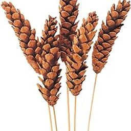 Strobus Pine Sticks 5 Sticks | Eco-Friendly Flowers for Home, Office, Bedroom, Table Decoration-image-57