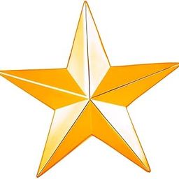 Shining Star Lapel Pin Badge for Men (PABP1101164PR)-image-1
