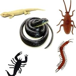 CollectiveMed 5 in 1 Insect (Prank Black Snake + 1 Chipkali Lizard + 1 Centipede + 1 Bicchu Scorpion + 1 Cockroach) Prank Toys Enjoyed for Kids and Adults-image-99