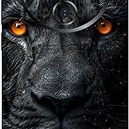 WRAP CRAFT Mobile Skins Compatible with VIVO IQOO Z10 Skin Not Back Cover, Camera & Back Protector Mobile Skin Wrap; VIVO IQOO Z10-KE-140-picture-16