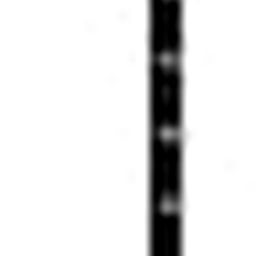 Trekking Hiking Pole, Good Strength Hiking Poles Moisture Absorption for Snowfield-image-70