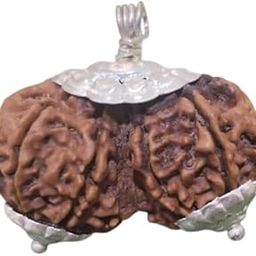 Cuonna Gems Gallery Naturally Nepali Beads Shiv Parvati Rudraksha Original Certified गौरीशंकर रुद्राक्ष ओरिजिनल सर्टिफाइड A1 Rated Gaurishankar Rudraksha with Igl Lab Certificate गौरी शंकर रुद्राक्ष-2