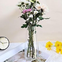 Glass vase Pack of 1 Pices Transparent Glass Flower Vase Decorative Pot for Home Decor Living Room Bedroom Table Top Wedding Decoration 9 inch Height Tapper vase-image-2