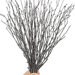 30Pcs Dried Birch Twigs Curly Willow Branches - 17” Natural Decorative Birch Branches for Easter Vases, Willow Branches for DIY, Floral Arrangement, Twig Wreath, Centerpiece, Rustic Home Decor-image-76