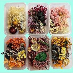 Prescent Natural Real Dried Flowers for Art Craft Mixed Soap, Candle, Scrapbook, DIY, Resin Tray Jewellery, Pendant Making and Much More (Multicolor - Random 1 Box)-image-63