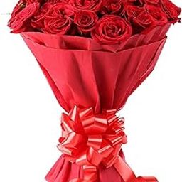 The FloralMart® Mother's Day Special Fresh Flowers Bouquet of 20 Red Roses in Paper Wrapping, Bunch of 20 (Red Rose)-image-91
