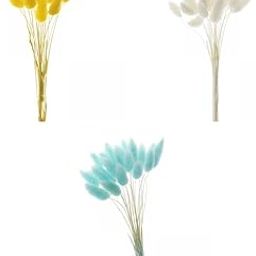 ATORSE Natural Dried Flowers Bouquets DIY Stems Decoration|Home & Garden|Home D?©cor|Floral D?©cor-image-35