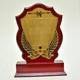 Wooden Memento for Sports, Event & Functions (Large, 26cm Height x 19cm Width x 5cm Depth)-image-4