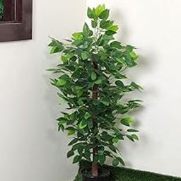 Garden Hub Artificial Plants/Tree for Home Decoration/Living Room/Office Big/Medium Size (Ficus Tree with Pot 3ft)-image-1