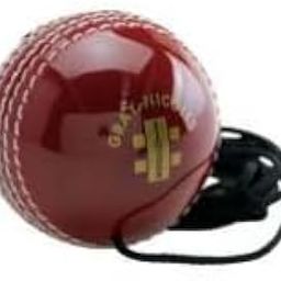 Gray-Nicolls Batting Master Leather Ball (Hanging Ball)-image-51
