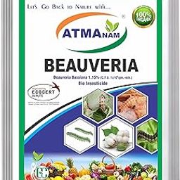 Atmanam Beauveria Bassiana (1x10^8 CFU/g) Bio Insecticide for Plants Pesticides for all insects | Insecticide for healthy Plants | Pesticide for home and garden | Pack of 1 | 1 Kg-image-0