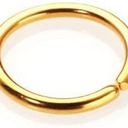 Simple Plain Gold Nose Ring for Women-52