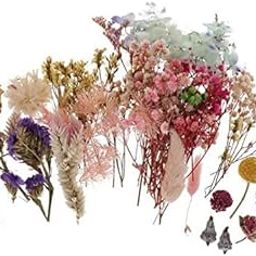 MERISHOPP®3x1Box Pressed Leaves Natural Dried Flowers Scrapbooking Card Making|Crafts | Home Arts & Crafts | Floral Crafts | Dried Botanicals & Potpourri-image-48