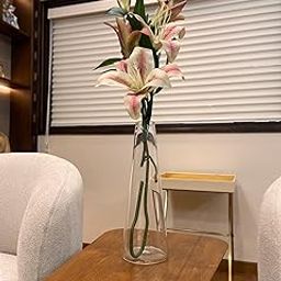 Labzio Home Glass Vase for Flowers & Plants (Transparent, 30 cm X 10 cm) - Living Room Glass Vase Pot for Water Plants Home Decor Dining Table Decoration Bedroom Hall Aesthetic House Warming Gift-image-13