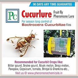Cucurlure - Replacement Lure for Bactrocera cucurbitae (Replacement Lure Without Trap) (Total 8 No's)-image-20