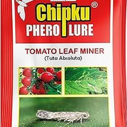 Chipku-Pheromone Lure for Tomato Leaf Minor (Tuta Absoluta) Pack of 10-22