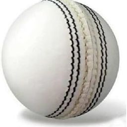 Cricket Leather Ball - Pack of 1 (White)-image-50