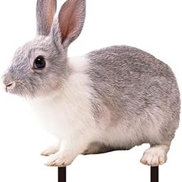 LOOM TREE® Rabbit Animal Statue Stake Garden Rabbit Decoration for Porch Backyard Patio Style B | Yard, Garden & Outdoor Living | Garden D?©Cor | Statues & Lawn Ornaments-image-79