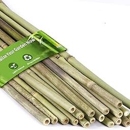 HUDU 18 Pieces 2' /24 inch Bamboo Canes for Garden, Bamboo Poles as Garden Stakes for Indoor and Outdoor Plant Supports, 2 Feet Stakes-image-62