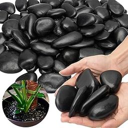 Garden Art Pebbles for Home Decor (2 KG, Black Medium, 1)-image-23