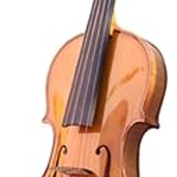 NGM Musicals Maplewood Five String Violin with Case, Bow and Rosin (4/4, With triangular case)-image-1