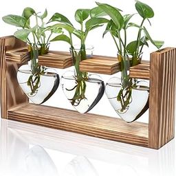 HASTHIP® 3 in 1 Hydroponic Glass Vase Kit, 3Pcs Decorative Heart-Shaped Hydroponic Glass Planter with Wooden Stand, Plant Terrarium for Desktop Table Decor Home Office-image-27