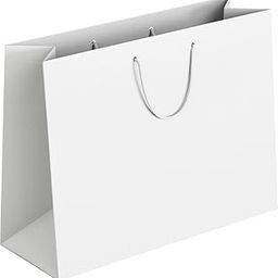 Apex Graphics Paper Bags - White Plain Gift Bags - Large Paper Bags for Return gift | Wedding | Kids Party | Birthday | Size 14x10.5x4 inch - Pack of 5 - White Big Bags-image-67