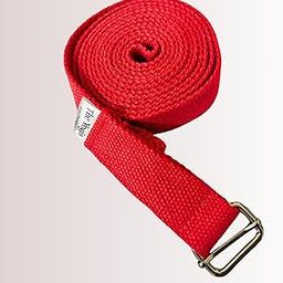 The Yogis Yoga Stretch Belt/Strap | 9feet Long | for Daily Stretching, Yoga, Pilates, Physical Therapy, Fitness (Red H)-image-119