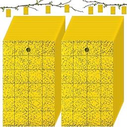 Qualirey 100 Pcs Yellow Sticky Gnat Traps - 3" x 5" Double Sided Fruit Fly Trap with Tie - Sticky Trap for Flying Insects, Fungi and Flying Insects-image-37