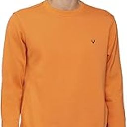 allen solly Cotton Men Crew Neck Sweatshirt-picture-49