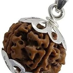 SAISAYA 6 MUKHI RUDRAKSHA Original, Nepali Six mukhi Brown Rudraksha Certified, Nepali 6 Faced Rudraksha AAA+ Quality (Brown), 6 Mukhi Nepali Rudraksha Bead (Six Face) for Men and Women.(304)-34