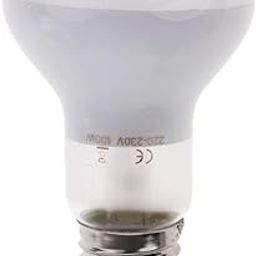 BNF® E27 UVA Heater Reptile Heat Basking Lamp Moonlight Bulb 220-240V 100W|Pet Supplies | Reptile Supplies|1 Piece Reptile Heat Lamp-image-89