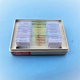 AIM Tissues, Cells & Organs Prepared Slides (set of 12)-19
