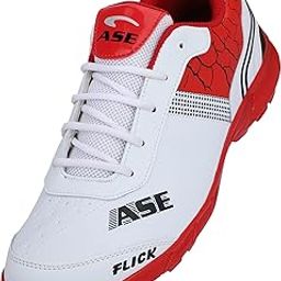 ASE Men's Professional Cricket Shoes-picture-1