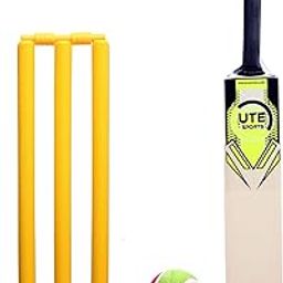 Kids Pro Cricket Combo Age (Size 6, Age 8-12 Year (Wooden Selected Willow Bat, Heavy Plastic Wicket Set & 1 Tennis, Personal Use and Gifting Combo-image-66