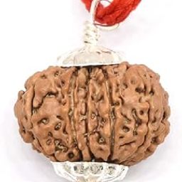 14 Mukhi Rudraksha Original Certified Nepali 21mm Natural 14 Mukhi Nepal Rudraksha14 मुखी रुद्राक्ष शिव हनुमान बाबा का आशीर्वाद 14 Face Rudraksha Original Nepal Chaudha Mukhi Rudraksha Lord Hanuman Baba 14 Mukhi-32