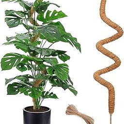 ZIBUYU® 23.6 inch Plant Support Stake, Natural Coconut Fiber Plant Stake for Monstera Plants, 4mm Dia Bendable Moss Pole Stick Creeper for Climbing, Plant, Vine-image-9
