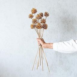 Flowers and Fillers Dried Golden Pine Cone 10 Sticks| Home Dcor | Vase Fillers |Eco-Friendly Flower-image-67