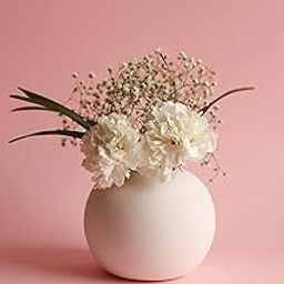 Ceramic Round vase | Flower Vase | Ceramic vase | Round Shaped Vase | Modern Vase | Home Decor Centrepiece | Decor Piece 5.5 inches (White)-image-63