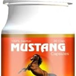Mustang Power Booster Capsules Boost Men Muscle Growth and Energy Ayurvedic Capsules 30 F1, 1 count-image-2
