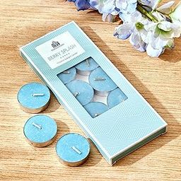 Home Centre Colour Refresh Set of 10 Blueberry Scented T-Light Candles-70