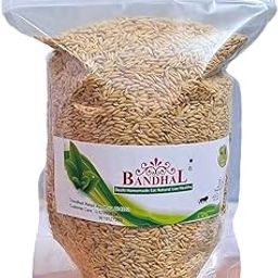 Dhan/Dhaan Paddy Seeds - Vadlu - For Pooja/Puja & Germination Own Village Farm.950 gm. Dhaan Havan Navratri Poja Havan Dhan Clean and Sorted-picture-23